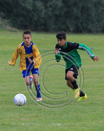 Eldon-2014 681