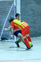FT0515 (2013)
