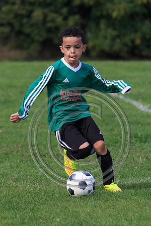 Eldon-2014 875