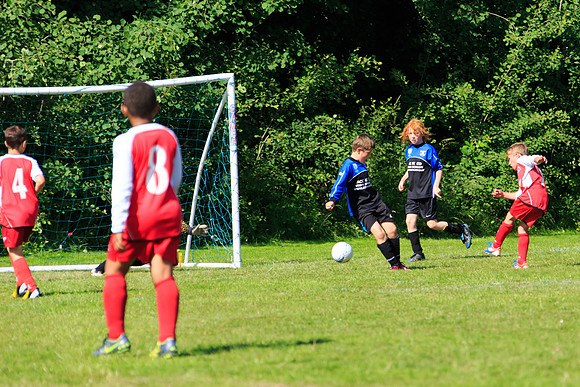 130629 Sandhurst Wanderers U8 at BTJ U9 Trny (326)
