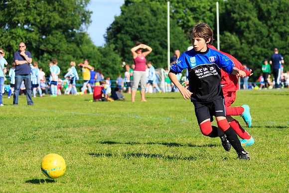 130629 Sandhurst Wanderers U8 at BTJ U9 Trny (513)