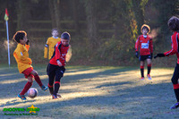 131123 B Cavaliers U9 v Pinewood Pumas 0-3 018