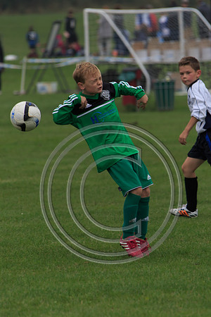 Eldon-2014 279