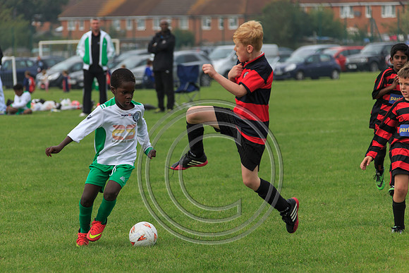 Eldon-2014 519