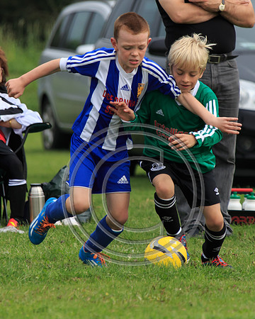 Eldon-2014 797