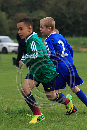 Eldon-2014 806