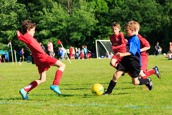 130629 Sandhurst Wanderers U8 at BTJ U9 Trny (524)