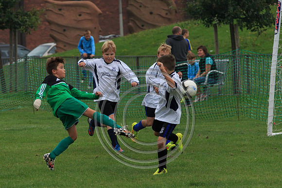 Eldon-2014 289