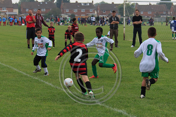 Eldon-2014 506