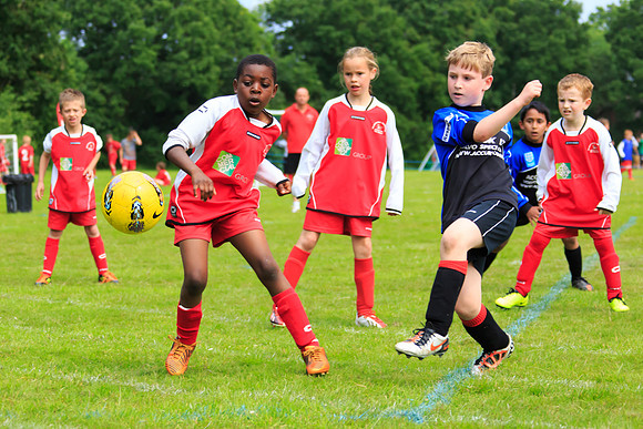 130629 Sandhurst Wanderers U8 at BTJ U9 Trny (42)