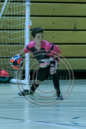 FT0515 (1395)