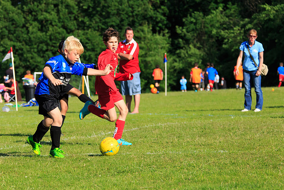 130629 Sandhurst Wanderers U8 at BTJ U9 Trny (562)