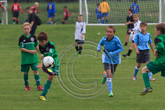 Eldon-2014 465