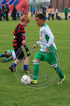 Eldon-2014 472