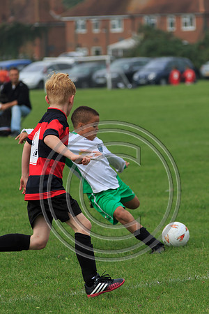 Eldon-2014 545