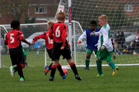 Eldon-2014 334