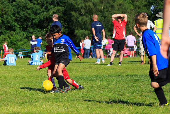 130629 Sandhurst Wanderers U8 at BTJ U9 Trny (482)