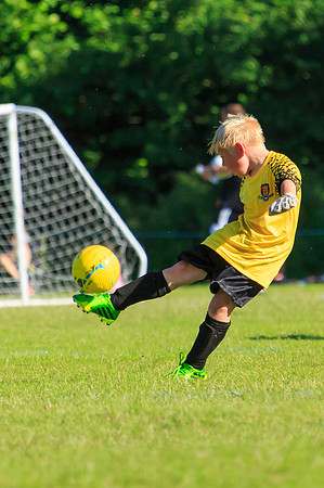 130629 Sandhurst Wanderers U8 at BTJ U9 Trny (500)