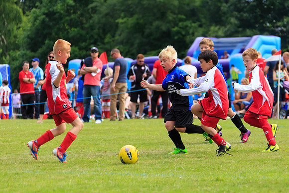 130629 Sandhurst Wanderers U8 at BTJ U9 Trny (85)
