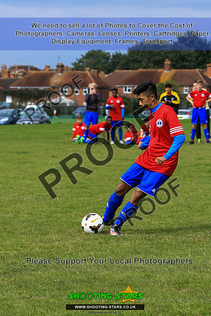 NGP19919