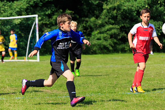 130629 Sandhurst Wanderers U8 at BTJ U9 Trny (294)