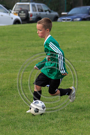 Eldon-2014 883