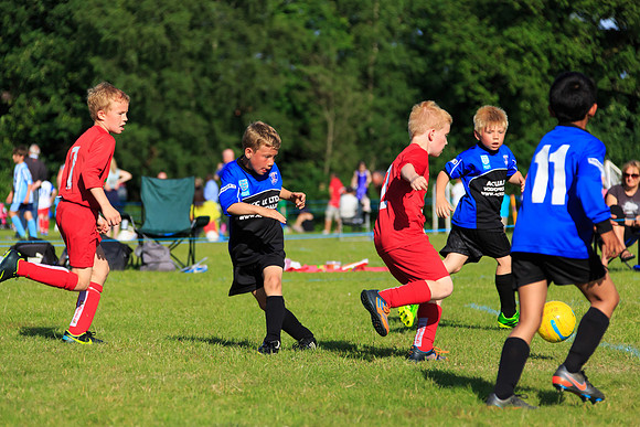 130629 Sandhurst Wanderers U8 at BTJ U9 Trny (583)