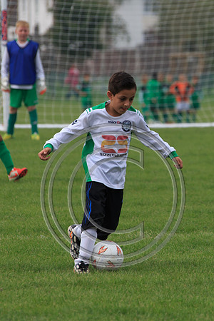 Eldon-2014 522