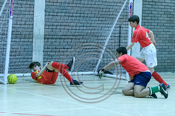 FT0515 (2015)