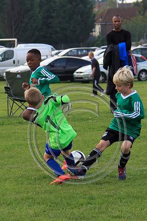 Eldon-2014 931