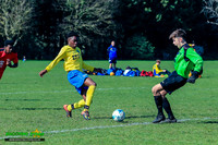 190324 Ascot v Carshalton