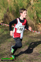 Cross Country 3
