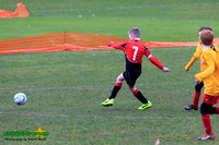 140223 B Cav U9 v Pinewood Pumas (1)