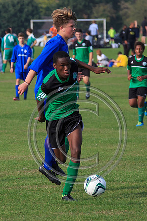 Eldon-2014 1120