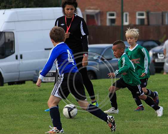 Eldon-2014 922