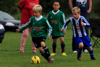 Eldon-2014 795