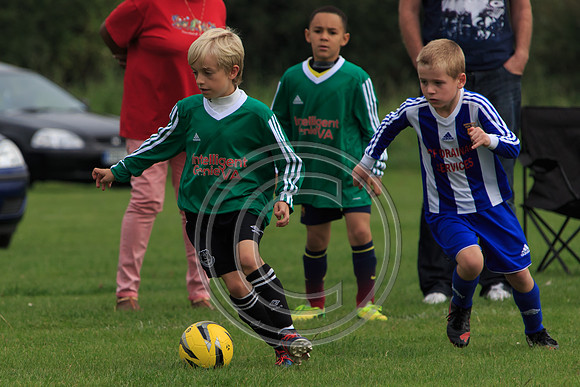 Eldon-2014 795