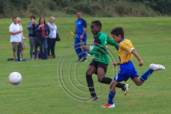 Eldon-2014 719