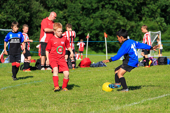 130629 Sandhurst Wanderers U8 at BTJ U9 Trny (542)