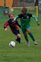 Eldon-2014 033