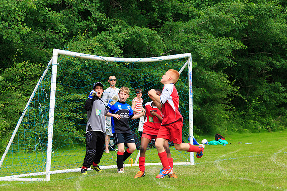 130629 Sandhurst Wanderers U8 at BTJ U9 Trny (63)