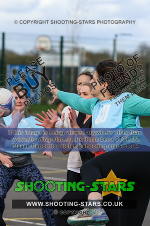 23038341