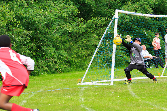 130629 Sandhurst Wanderers U8 at BTJ U9 Trny (44)