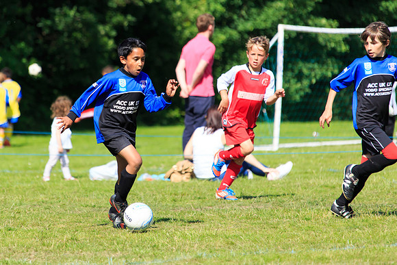130629 Sandhurst Wanderers U8 at BTJ U9 Trny (279)