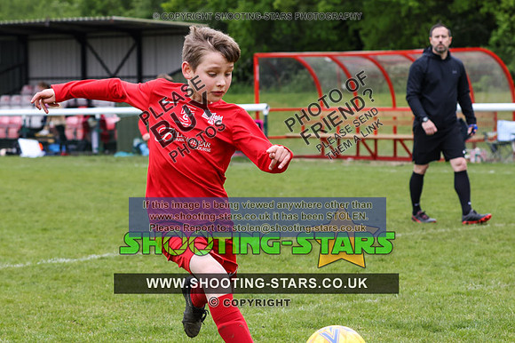 BFC23U11-0081