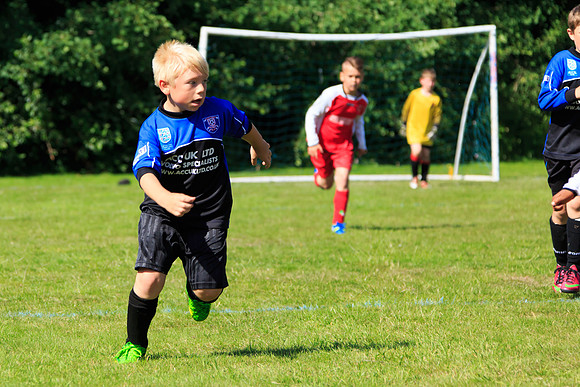 130629 Sandhurst Wanderers U8 at BTJ U9 Trny (309)