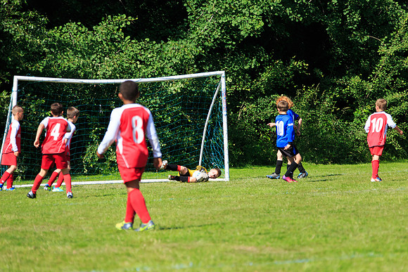 130629 Sandhurst Wanderers U8 at BTJ U9 Trny (327)