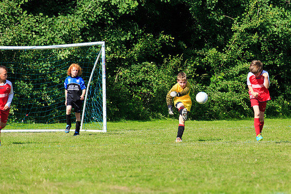 130629 Sandhurst Wanderers U8 at BTJ U9 Trny (329)