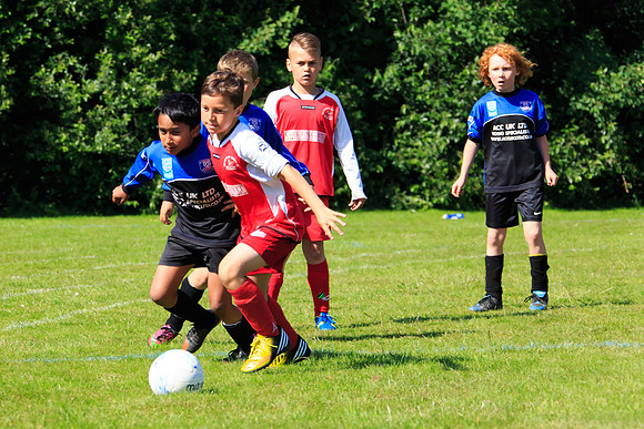 130629 Sandhurst Wanderers U8 at BTJ U9 Trny (314)