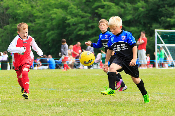 130629 Sandhurst Wanderers U8 at BTJ U9 Trny (36)